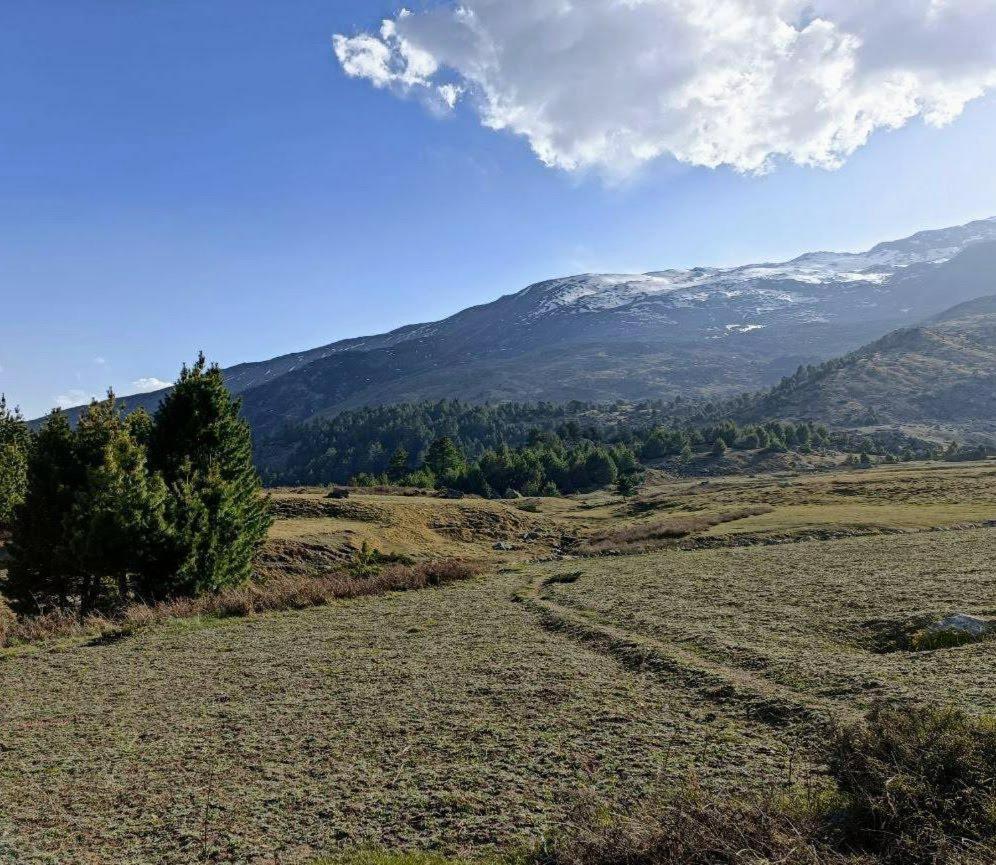Fayul Retreat - India Highest Glamp And Ecoluxury Stay Kalpa Exterior photo