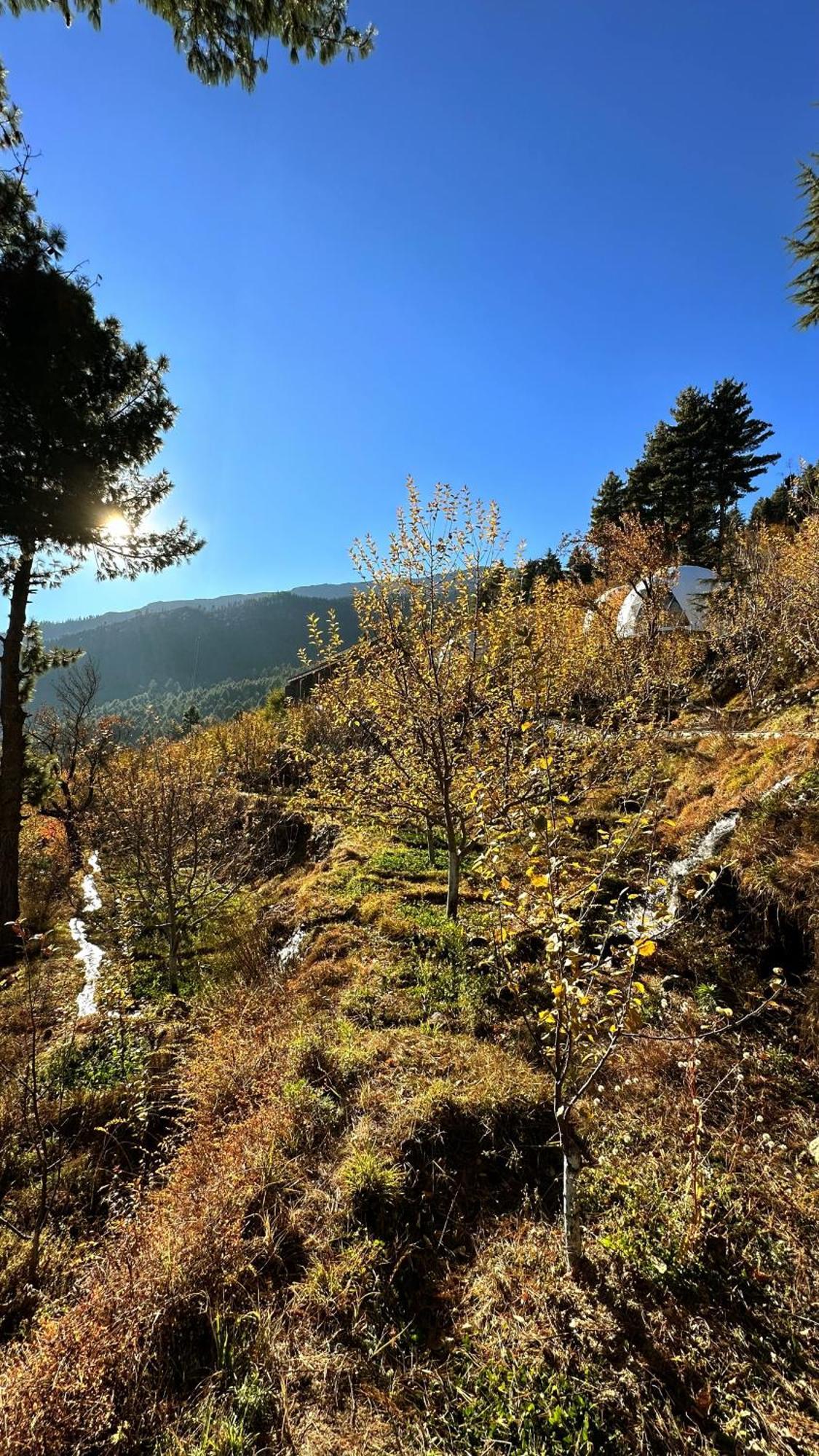 Fayul Retreat - India Highest Glamp And Ecoluxury Stay Kalpa Exterior photo