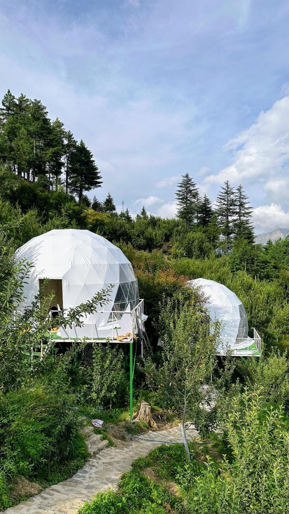 Fayul Retreat - India Highest Glamp And Ecoluxury Stay Kalpa Exterior photo
